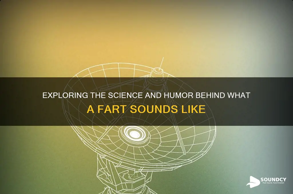 does a fart sound like