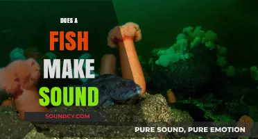 Unveiling the Mystery: Do Fish Produce Sounds Underwater?