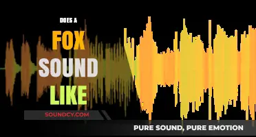 Unveiling the Unique Vocalizations: What Does a Fox Sound Like?