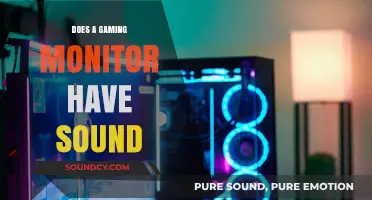 Gaming Monitors: Do They Have Audio?