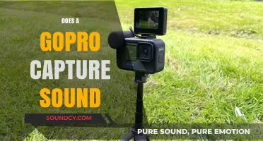 Does a GoPro Capture Sound? Unveiling Audio Capabilities of Action Cameras