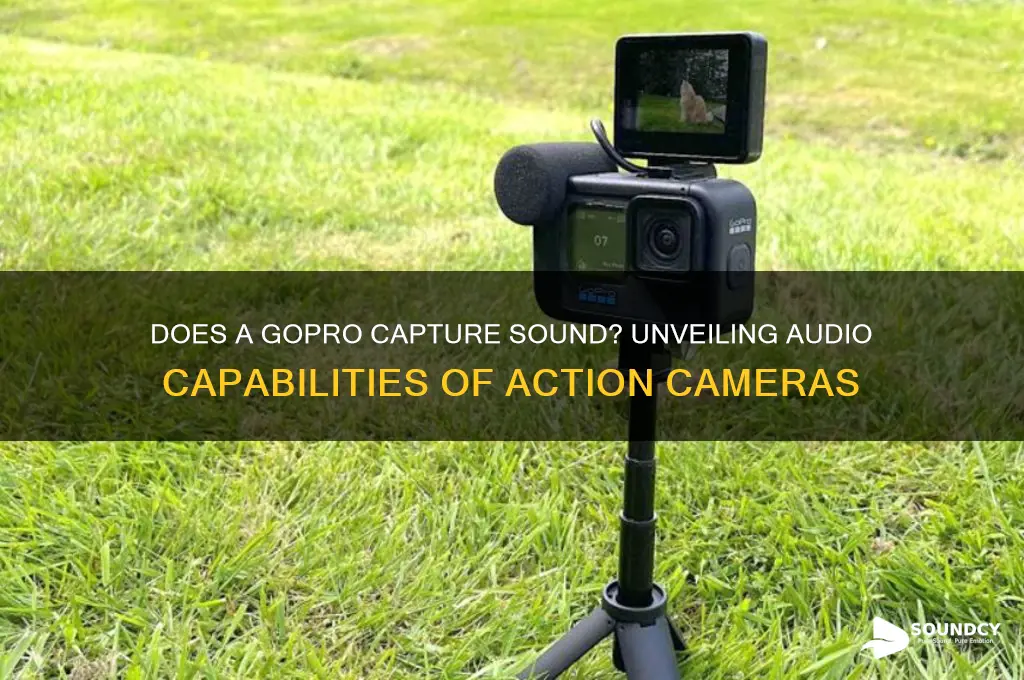 does a gopro capture sound