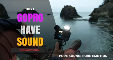Does a GoPro Record Audio? Unveiling the Sound Capabilities of Your Action Cam