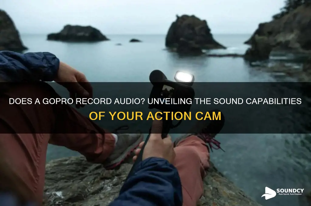 does a gopro have sound