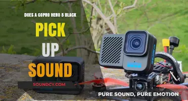 GoPro Hero 5 Black Audio Quality: Does It Capture Sound Well?