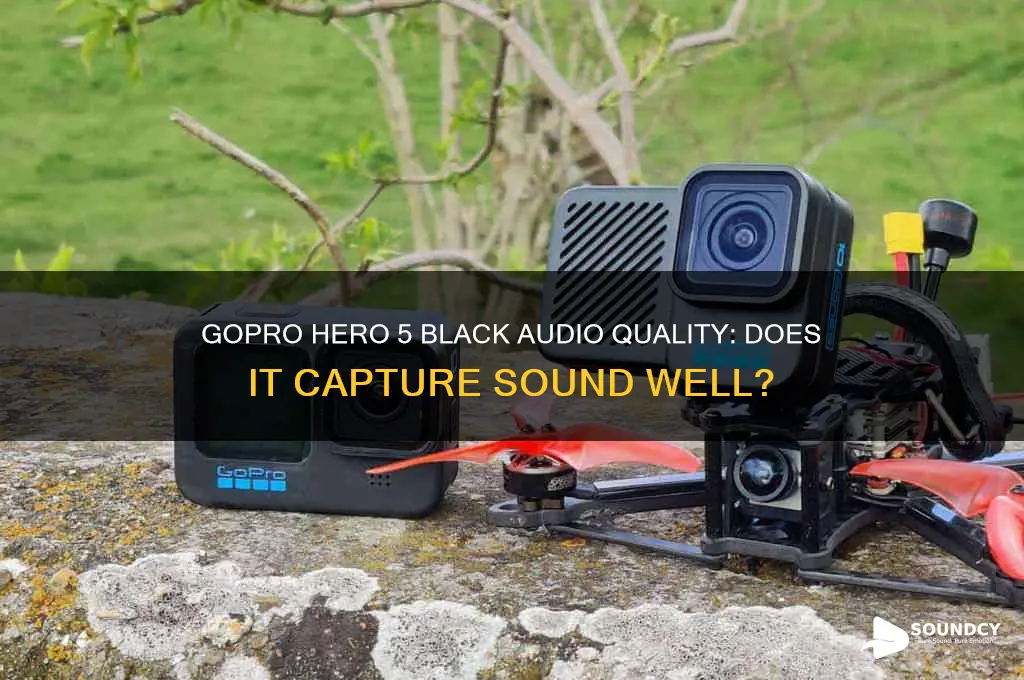 does a gopro hero 5 black pick up sound