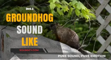 What Sound Does a Groundhog Make? Uncovering Their Unique Vocalizations