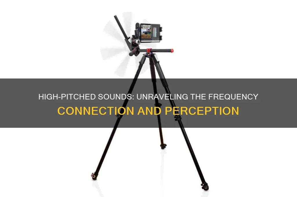 does a high pitched sound have a high frequency