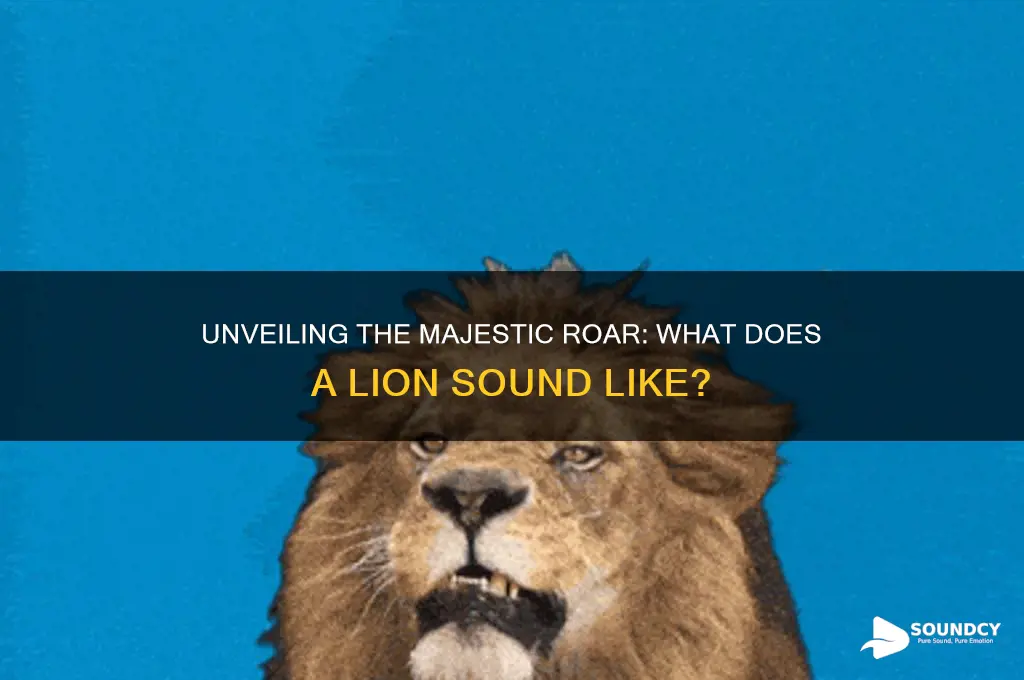 does a lion sound like