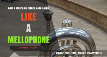 Marching French Horn vs. Mellophone: Unraveling the Sound Similarities