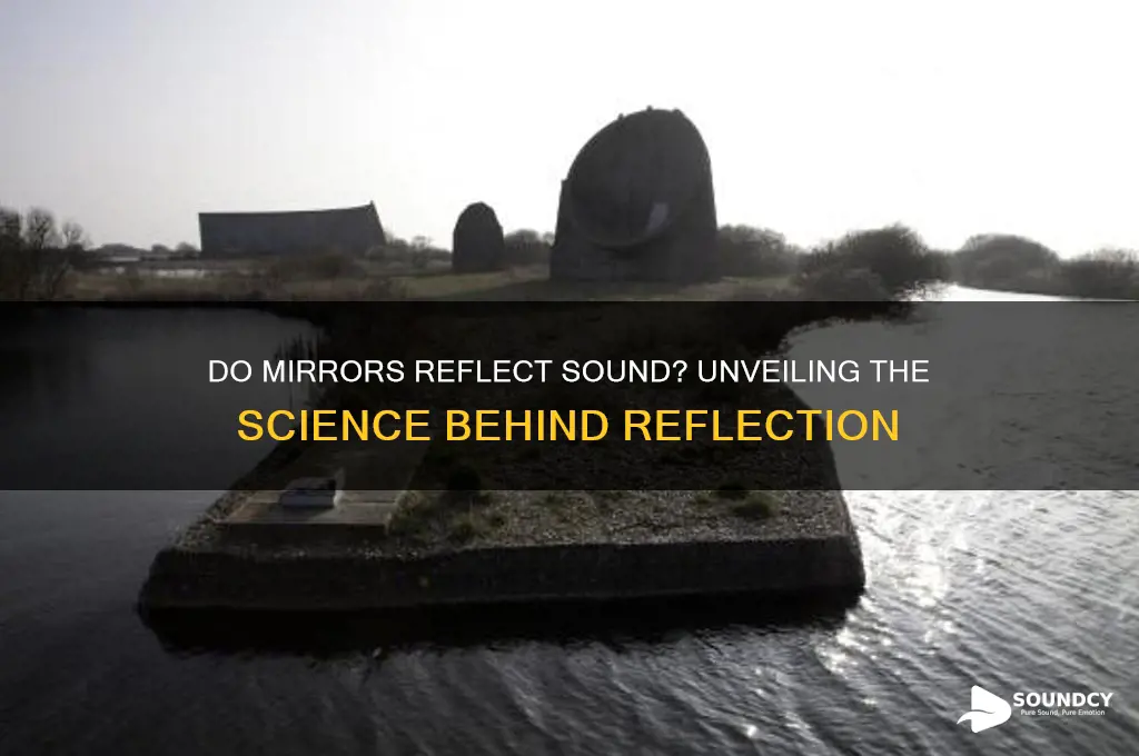 does a mirror reflect sound