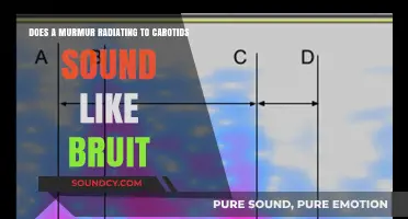 Murmur vs. Bruit: Understanding Carotid Sounds in Cardiac Auscultation