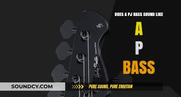 PJ Bass vs. P Bass: Sound Comparison and Tone Differences Explained