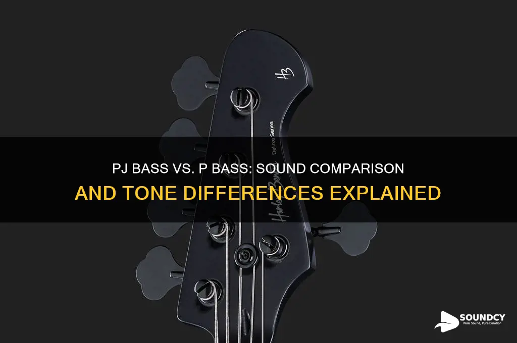 does a pj bass sound like a p bass