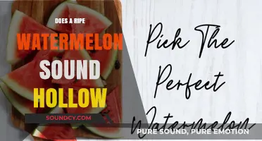 How to Pick a Ripe Watermelon: Hollow Sound Test