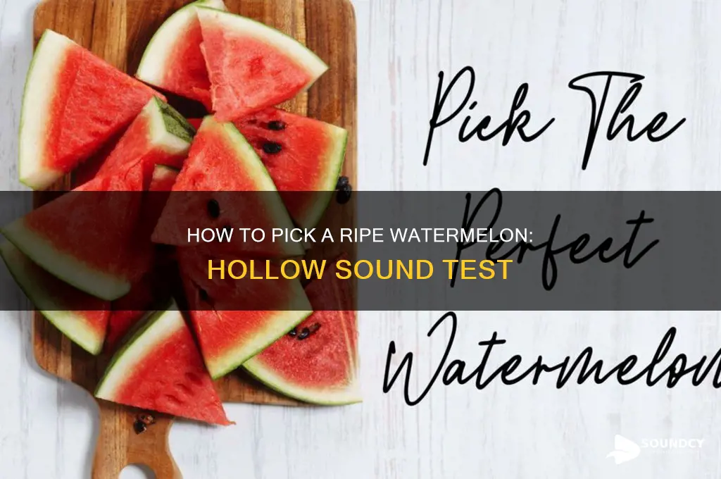 does a ripe watermelon sound hollow