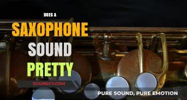Does a Saxophone Sound Pretty? Exploring Its Unique Tone and Appeal