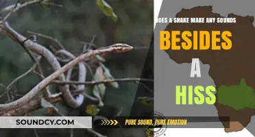 Beyond the Hiss: Exploring the Surprising Sounds Snakes Actually Make