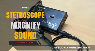 Does a Stethoscope Magnify Sound? Unraveling the Acoustic Mystery