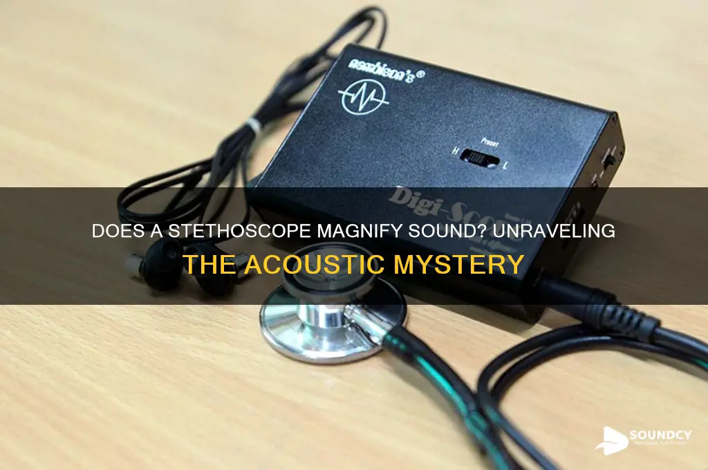 does a stethoscope magnify sound