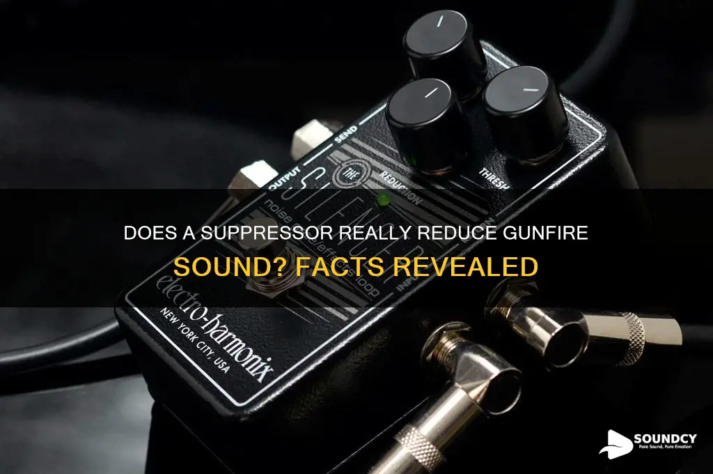does a suppressor reduce sound