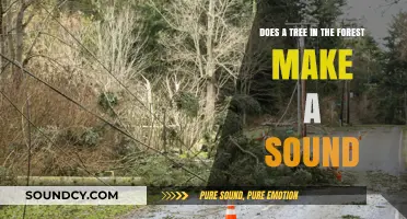 Does a Tree Falling in the Forest Make a Sound?