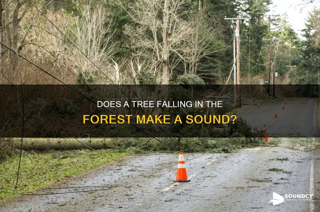 does a tree in the forest make a sound