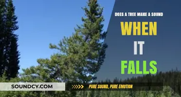 Does a Falling Tree Make Sound Without Witnesses? Exploring the Paradox