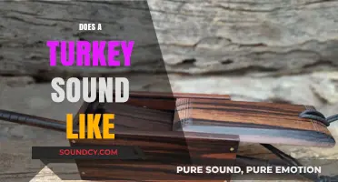 What Sound Does a Turkey Make? Unraveling the Unique Gobble
