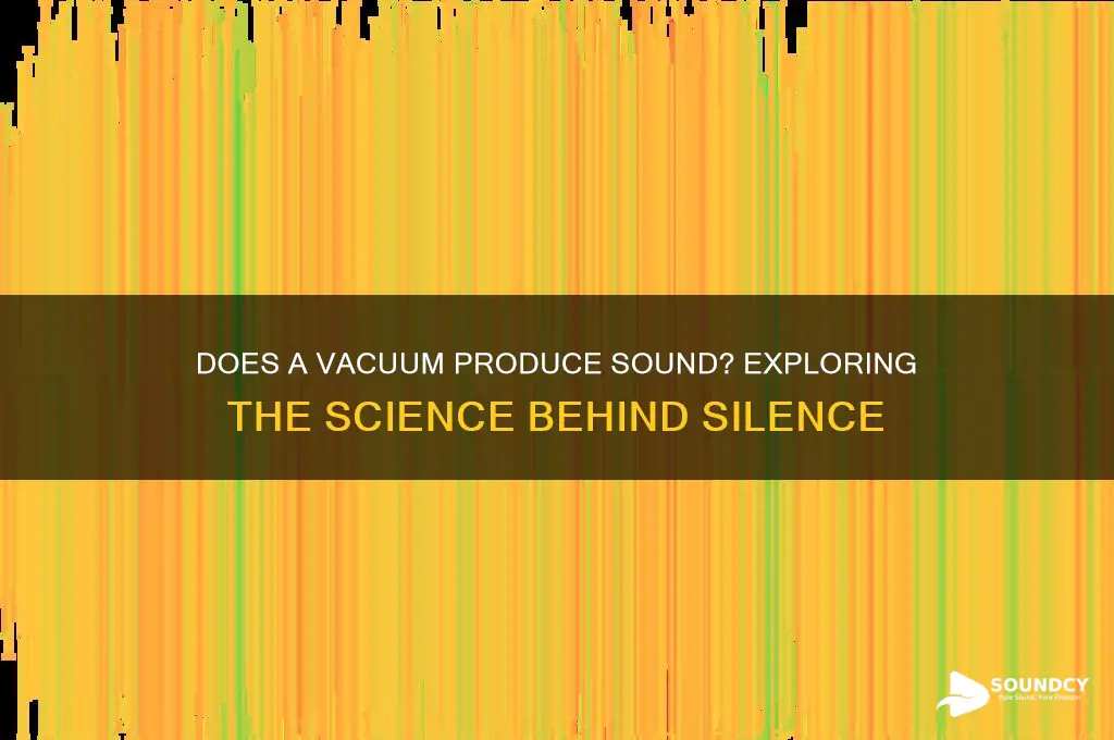 does a vaccum have sound