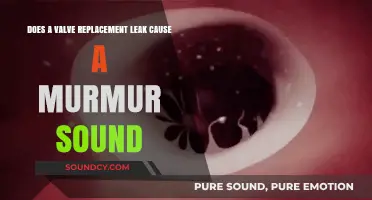 Valve Replacement Leaks: Understanding the Connection to Heart Murmur Sounds