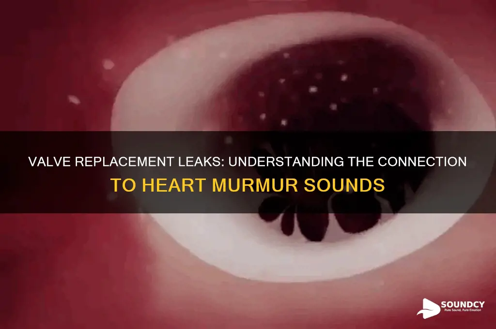 does a valve replacement leak cause a murmur sound