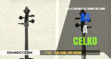 Violincello vs. Celko: Unraveling the Unique Sounds of These Instruments