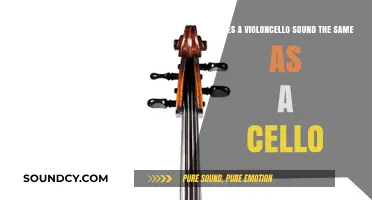 Violoncello vs. Cello: Unraveling the Myth of Their Sound Identity