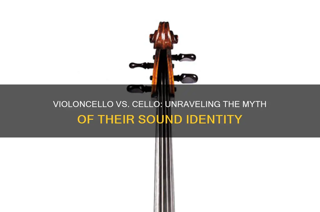 does a violoncello sound the same as a cello