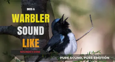What Does a Warbler Sound Like? Exploring Their Unique Songs