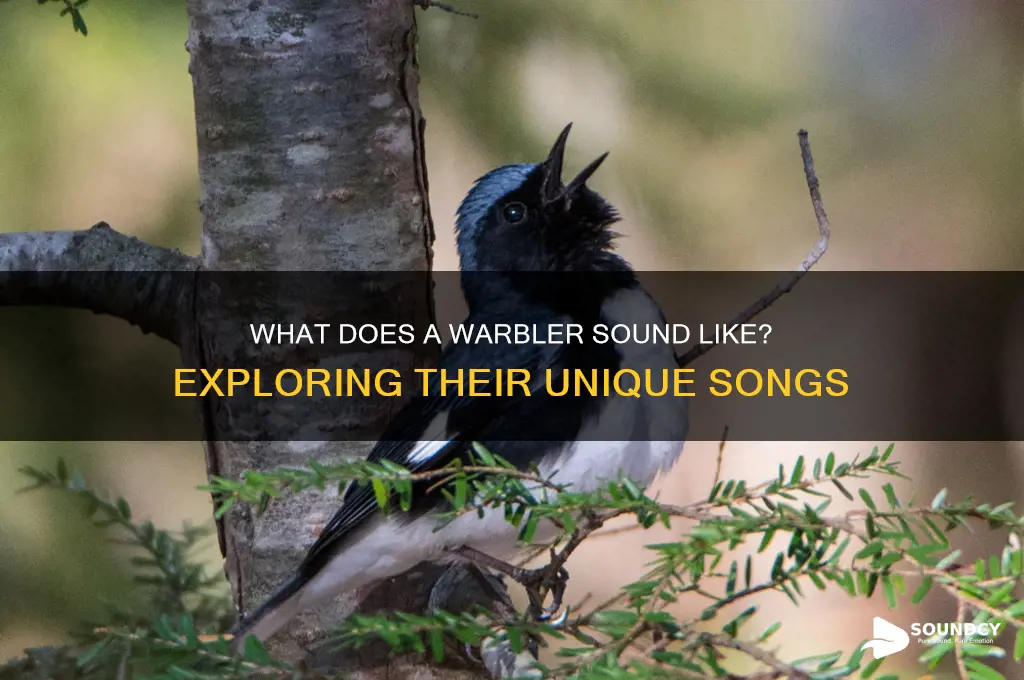 does a warbler sound like