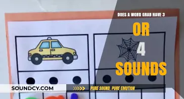 Word Grab Sounds: Debating Three vs. Four in Phonetic Breakdown
