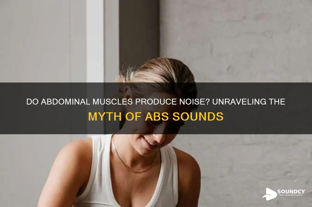 does abs make a sound