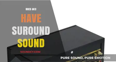 Exploring AC3 Audio: Does It Support Surround Sound Experience?