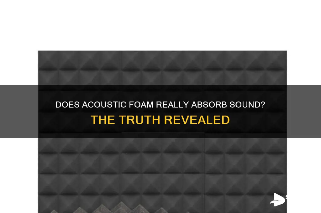 does acoustic foam absorb sound