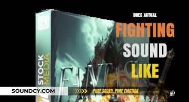 The Raw Reality: What Actual Fighting Sounds Like in Real Life
