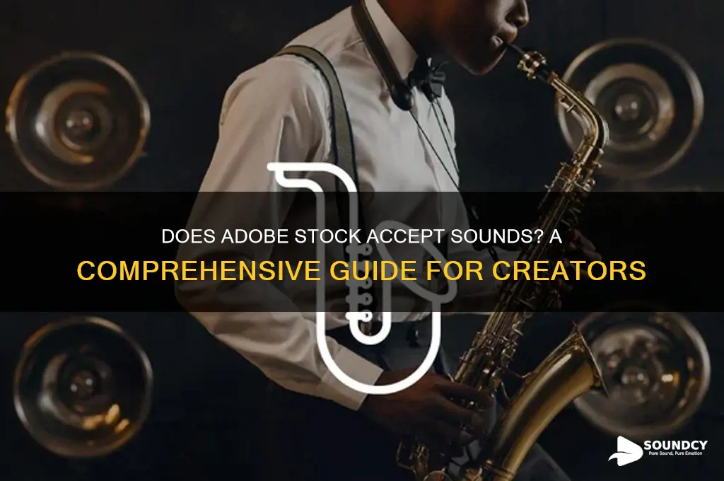 does adobe stock accept sounds