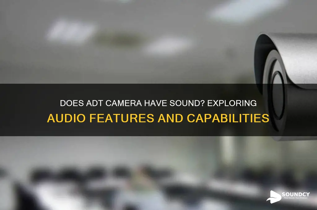 does adt camera have sound