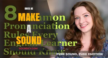 Does 'AE' Make a Sound? Exploring Pronunciation and Linguistic Nuances