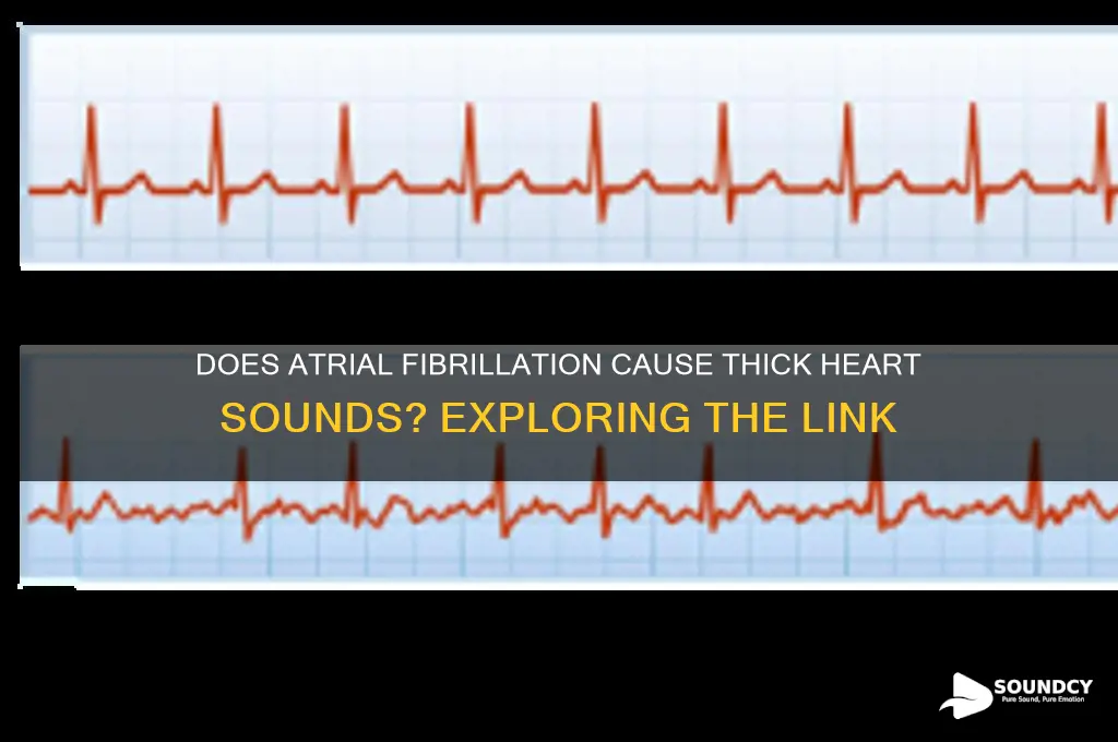 does afib produce thick sounds