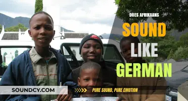 Does Afrikaans Sound Like German? Exploring Linguistic Similarities and Differences