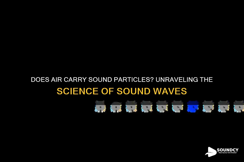does air have sound particles