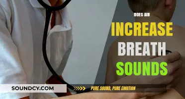 Does Air Increase Breath Sounds? Exploring the Science Behind It