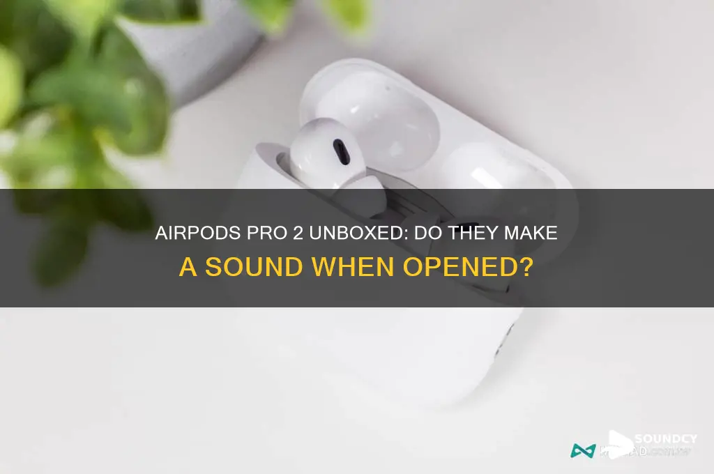 does airpods pro 2 make a sound when opened